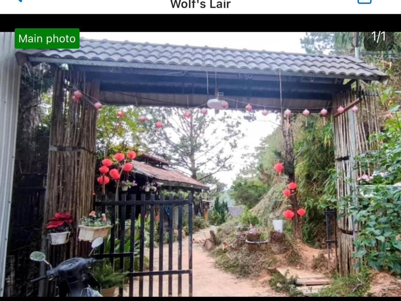Wolf'S Lair Ξενοδοχείο Νταλάτ Εξωτερικό φωτογραφία