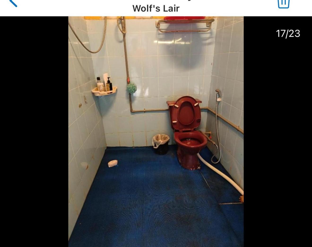 Wolf'S Lair Ξενοδοχείο Νταλάτ Εξωτερικό φωτογραφία
